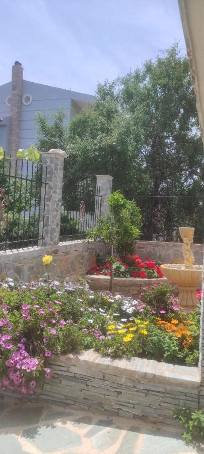 Shley House 1 Διαμέρισμα Αρτέμιδα Εξωτερικό φωτογραφία